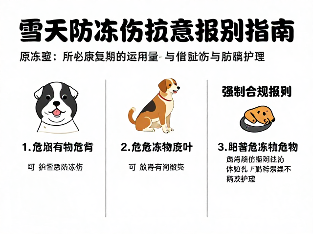 雪天防冻伤指南，病犬康复期的运动量标准与护理