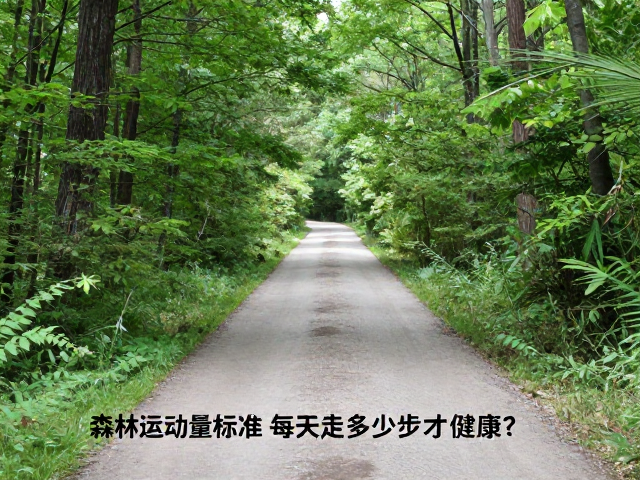 森林小径户外散步运动量标准,每天走多少步才健康?