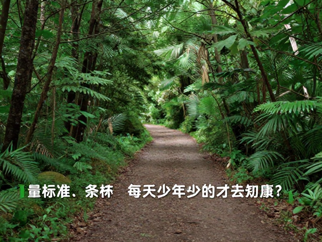 森林小径户外散步运动量标准,每天走多少步才健康?
