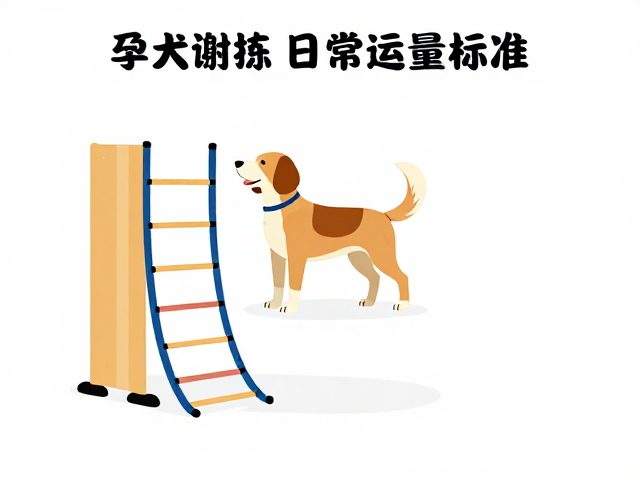 孕犬运动指南,敏捷梯训练与日常运动量标准