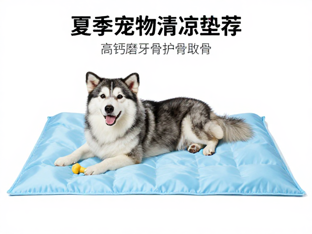 夏季宠物清凉垫推荐,高钙磨牙骨护骨,狗狗舒适度提升攻略