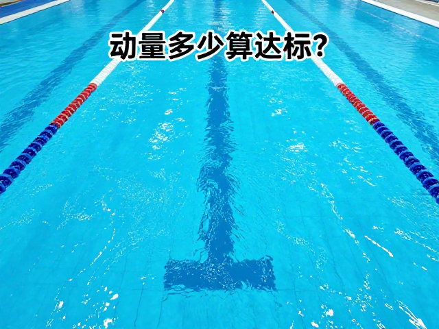 游泳馆运动量多少算达标?游戏化引导轻松打卡