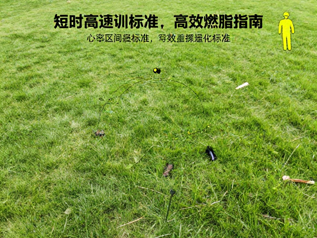公园草坪短时高频训练,运动量标准与高效燃脂指南
