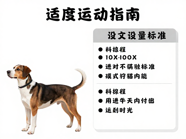 孕犬适度活动指南,满足狩猎本能,科学设定运动量标准