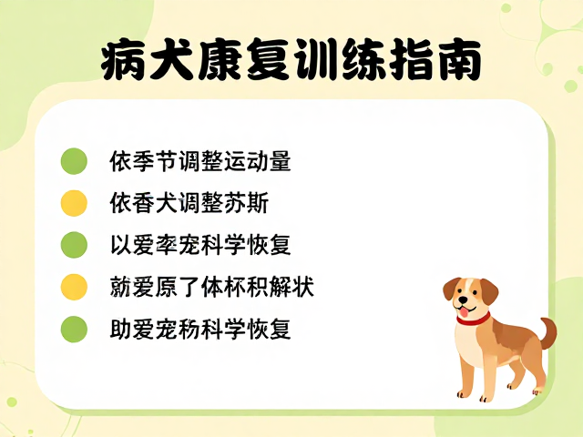 病犬康复训练指南，依季节调整运动量，助爱宠科学恢复