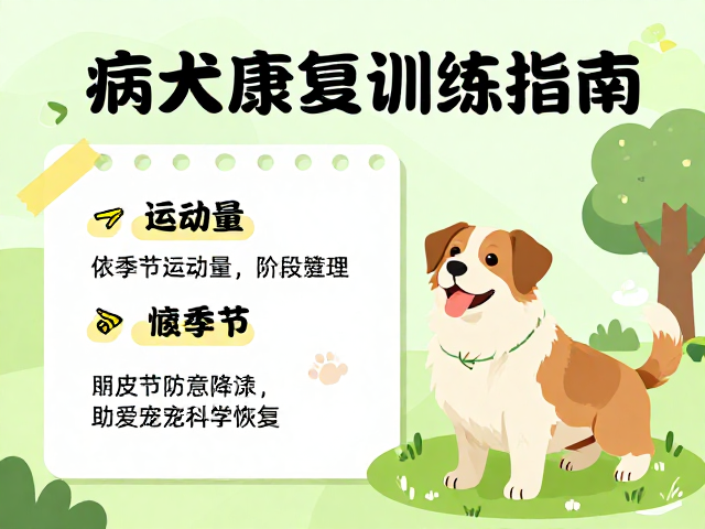 病犬康复训练指南，依季节调整运动量，助爱宠科学恢复