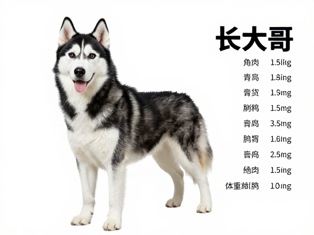 纯种哈士奇标准，父母品相参考及肩高体重范围详解