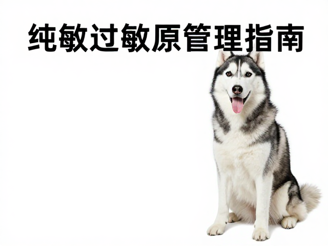 纯种哈士奇标准,室内空间与皮肤过敏原管理指南