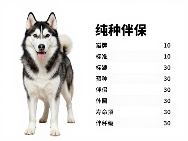 纯种哈士奇标准,展示级与伴侣级区别,寿命预期范围解析