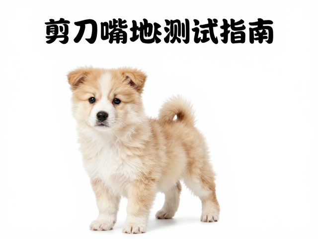 幼犬鉴别技巧,剪刀嘴地包天检查与皮肤弹性测试指南