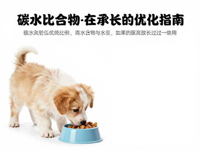 幼犬喂食方案,碳水化合物比例与水质过滤优化指南