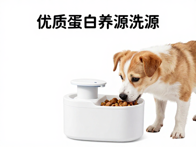 幼犬喂食方案,流动饮水机搭配优质蛋白质来源,科学喂养指南