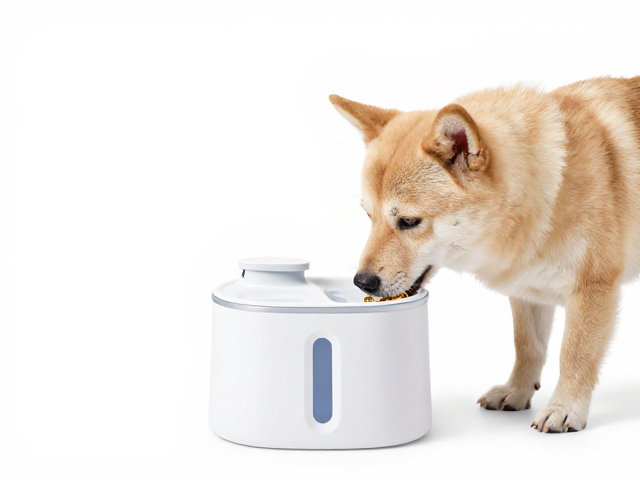 幼犬减肥期怎么喂?流动饮水机,饮食方案,科学瘦身不反弹