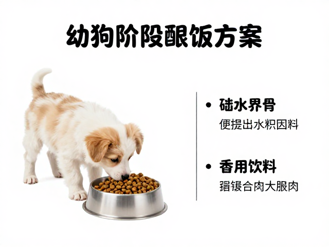 幼犬喂食方案，饮水引导与狗粮密封储存指南