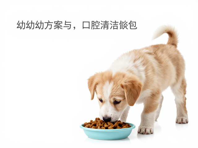 幼犬喂食方案与口腔清洁饮食，成年犬定时喂养指南