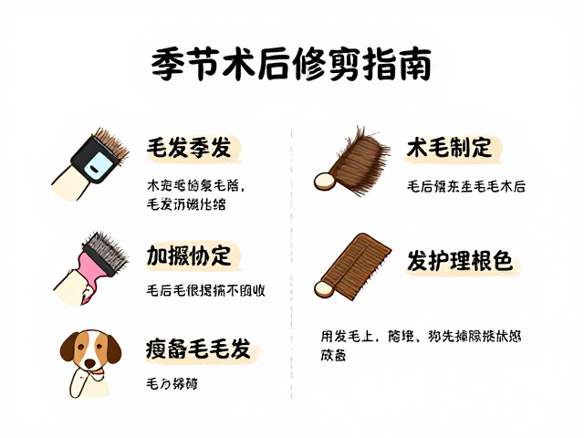 宠物术后护理与季节性毛发修剪指南,梳理方法详解
