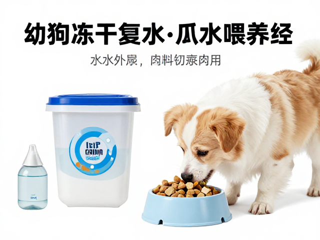 幼犬喂食方案,冻干复水技巧与水质过滤,打造科学喂养经