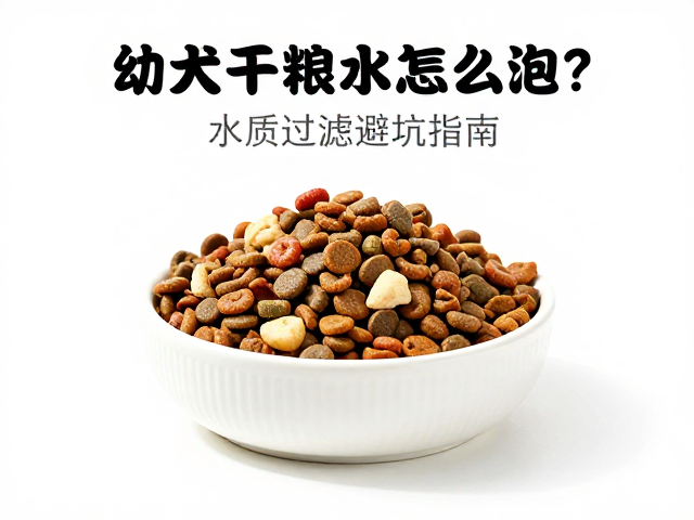 幼犬干粮泡水怎么泡?水质过滤避坑指南,科学喂食方案