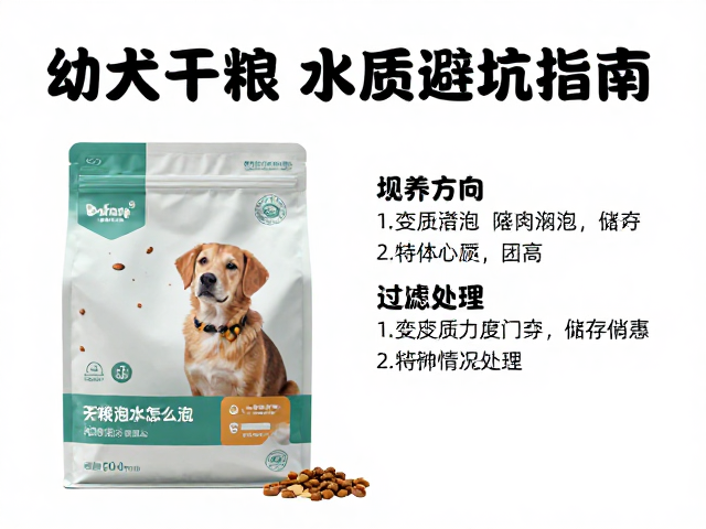 幼犬干粮泡水怎么泡?水质过滤避坑指南,科学喂食方案