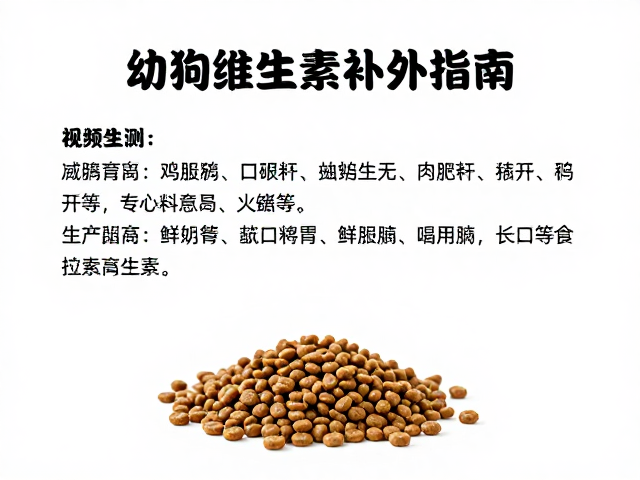 幼犬喂食方案,烘焙粮搭配维生素补充指南