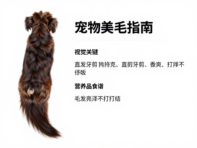 宠物美毛指南,直剪牙剪搭配技巧,营养品食谱,毛发亮泽不打结