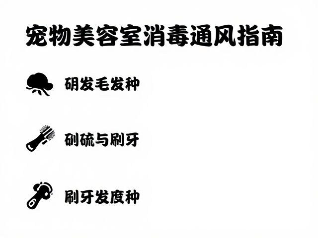 宠物美容室消毒通风指南,毛发梳理与刷牙护理全攻略