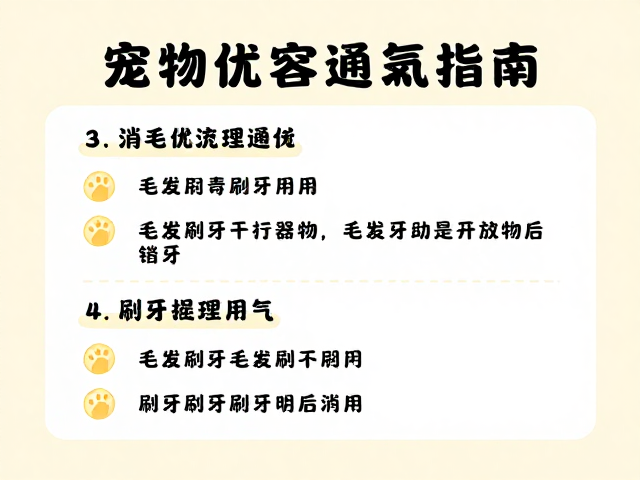 宠物美容室消毒通风指南,毛发梳理与刷牙护理全攻略