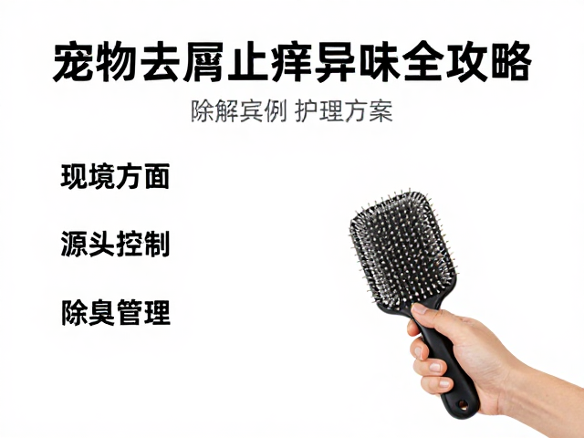 宠物去屑止痒异味全攻略,梳理,护理,除臭实操方案