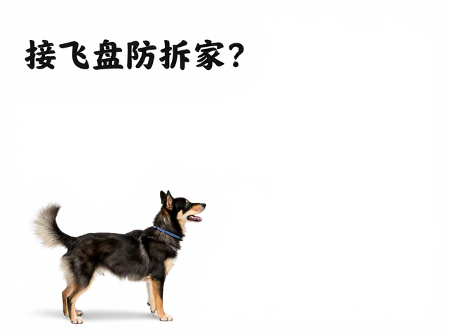 接飞盘防拆家?科学实施定点如厕训练,打造乖宠