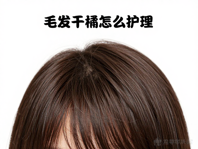 毛发干枯怎么护理?季节性修剪与梳理方法全解析