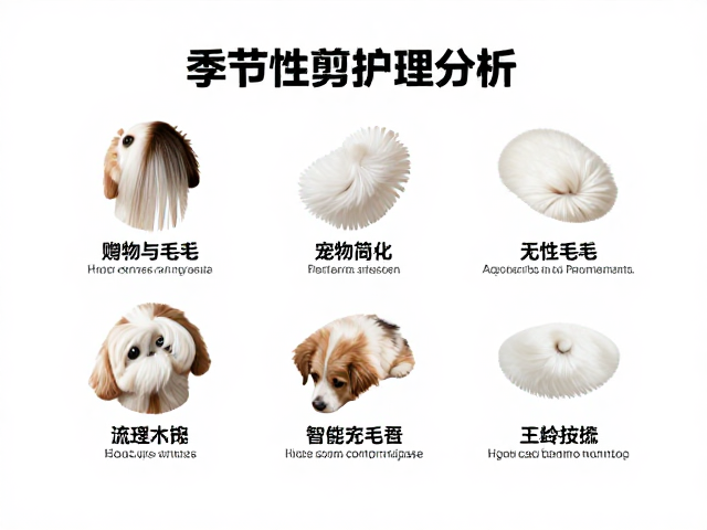宠物毛发护理，季节性修剪，成分功效分析，科学梳理指南