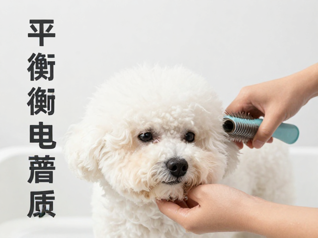 宠物毛发梳理与专业洗澡脱水,平衡电解质护健康