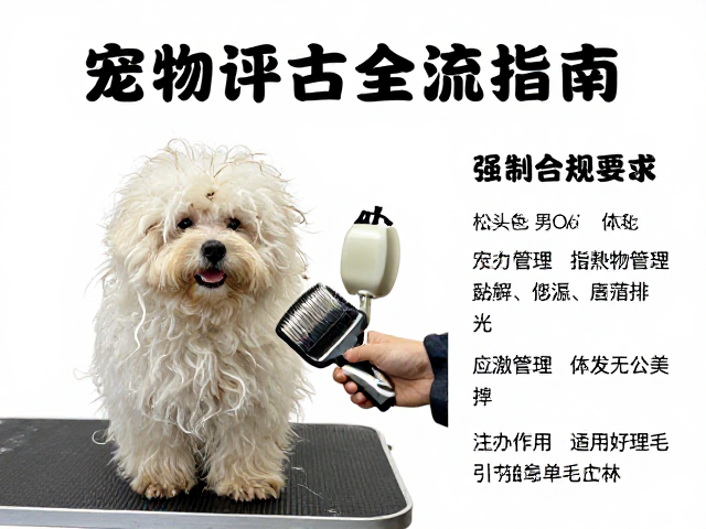 宠物毛发打结预处理与梳理法,接待健康评估全流程指南