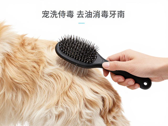 宠物毛发梳理与深层去油,工具清洗消毒全指南