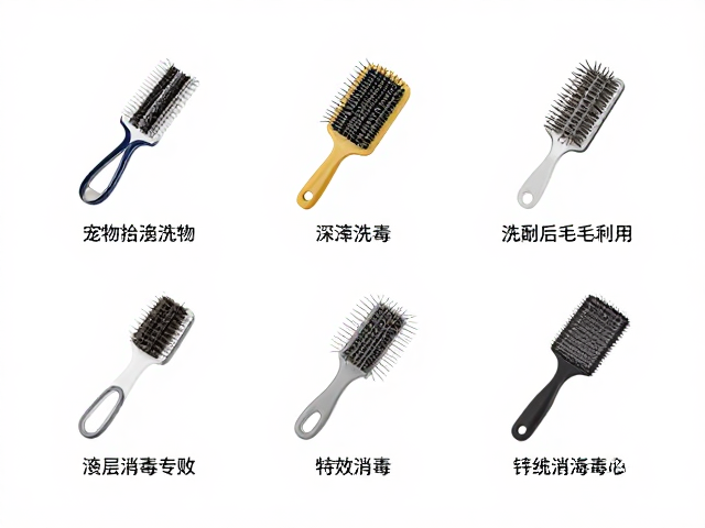 宠物毛发梳理与深层去油,工具清洗消毒全指南
