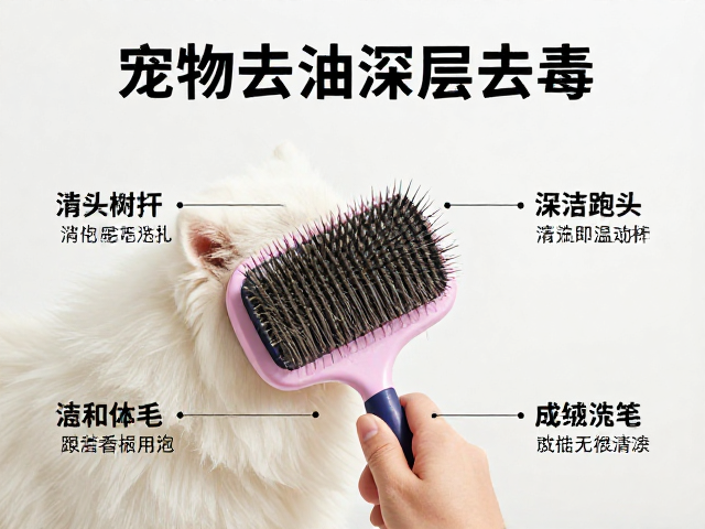 宠物毛发梳理与深层去油,工具清洗消毒全指南