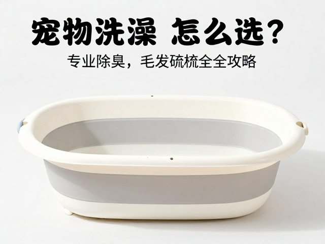 宠物洗澡盆怎么选?专业除臭,毛发梳理全攻略