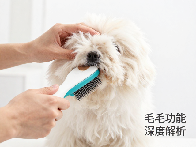 宠物足底毛修剪教程,毛发梳理法与成分功效深度解析