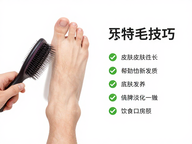 毛发梳理与足底毛修剪技巧,搭配皮肤健康饮食建议