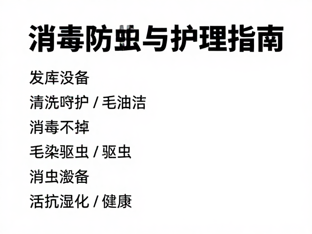 宠物美容室消毒通风与驱虫防蚤护理指南,科学毛发梳理让爱宠更健康