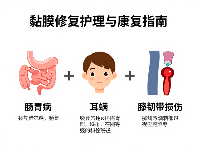 肠胃病、耳螨、膝韧带损伤,3大常见病症的科学护理与康复指南