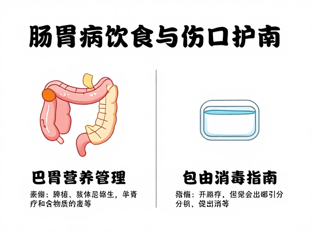 肠胃病饮食与伤口护理,常见疾病营养管理及包扎消毒指南