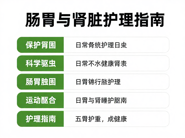 肠胃与肾脏疾病防治,科学驱虫时间表与护理指南
