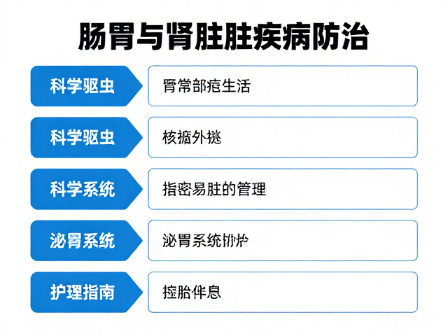 肠胃与肾脏疾病防治,科学驱虫时间表与护理指南