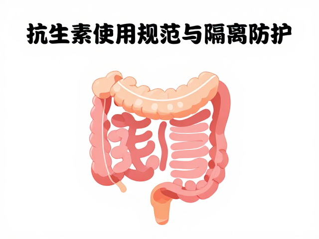 抗生素使用规范与肠胃病防护,隔离防疫关键指南