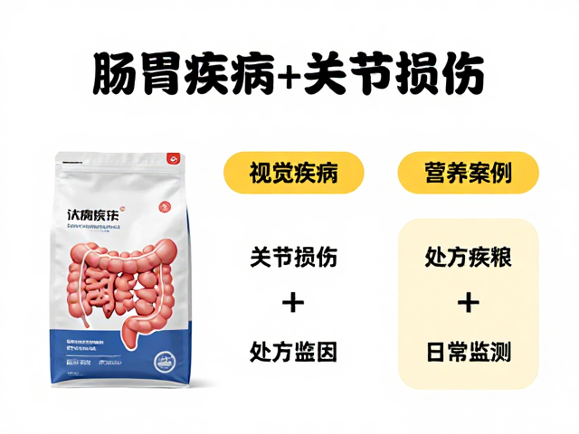 肠胃疾病与关节损伤?处方粮和补充剂怎么选