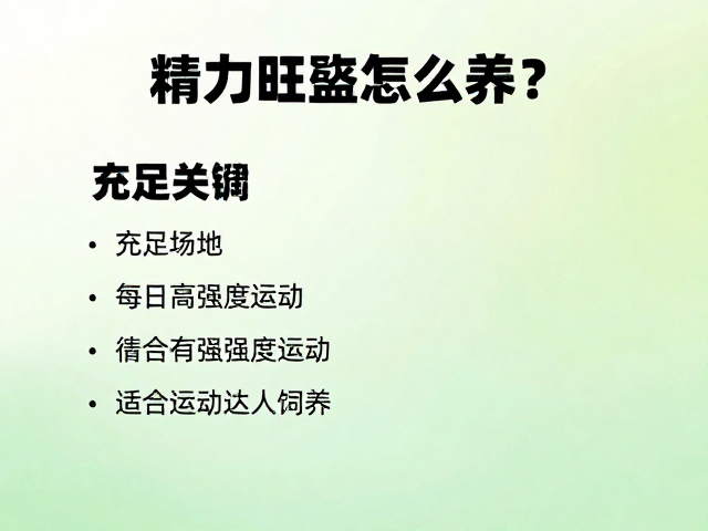 精力旺盛怎么养?充足场地,每日高强度运动,适合运动达人饲养