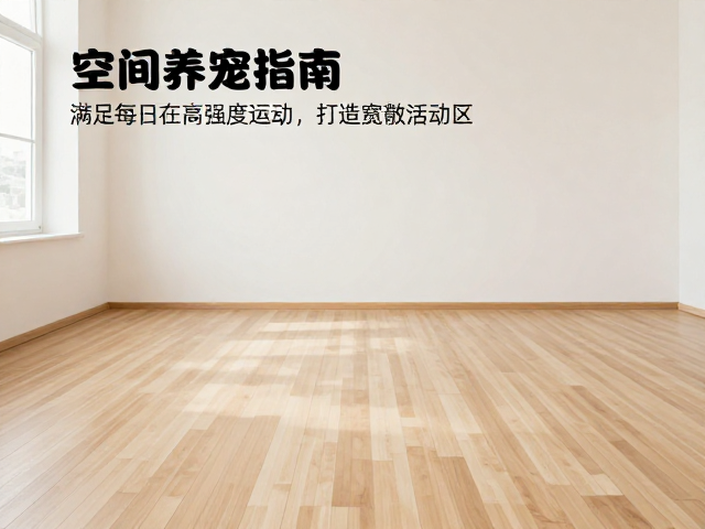 大空间养宠指南,满足每日高强度运动,打造宽敞活动区