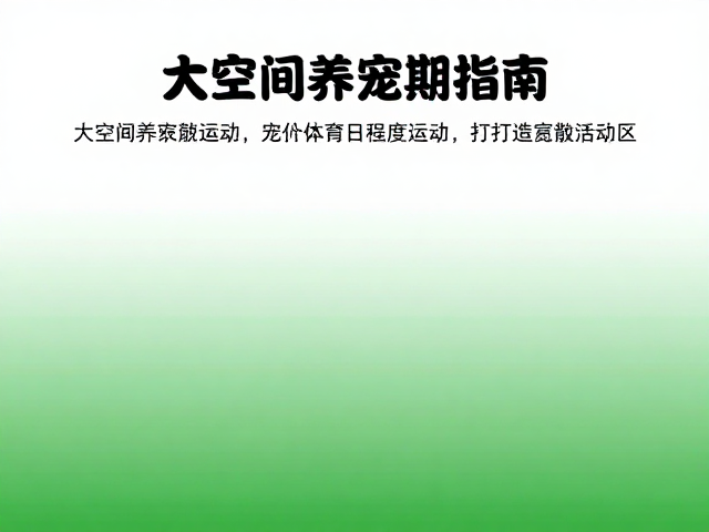 大空间养宠指南,满足每日高强度运动,打造宽敞活动区