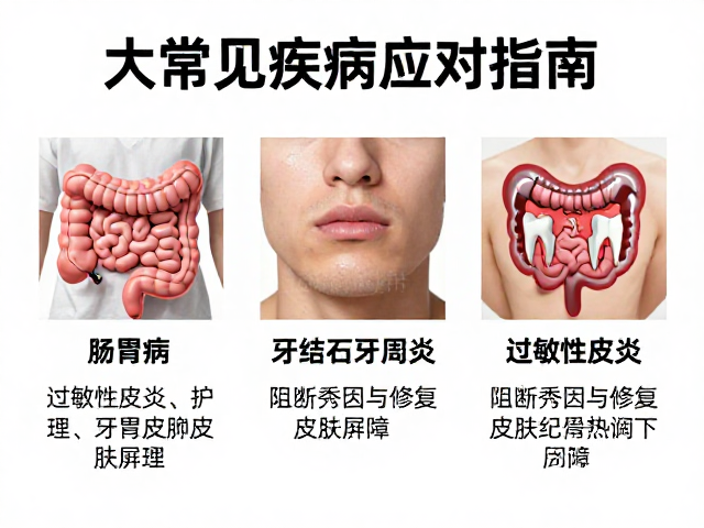 肠胃病、牙结石牙周炎、过敏性皮炎如何调理?3大常见疾病应对指南